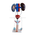 /msite/products/detail/productid/56642732/id/186332.html